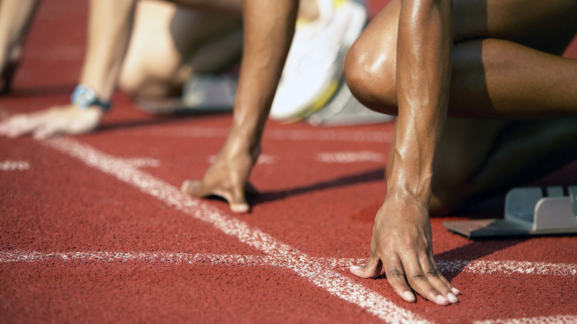 跨越时空的胜利，英格兰轻取法国，樊振东带队登顶—竞技精神的共同回响