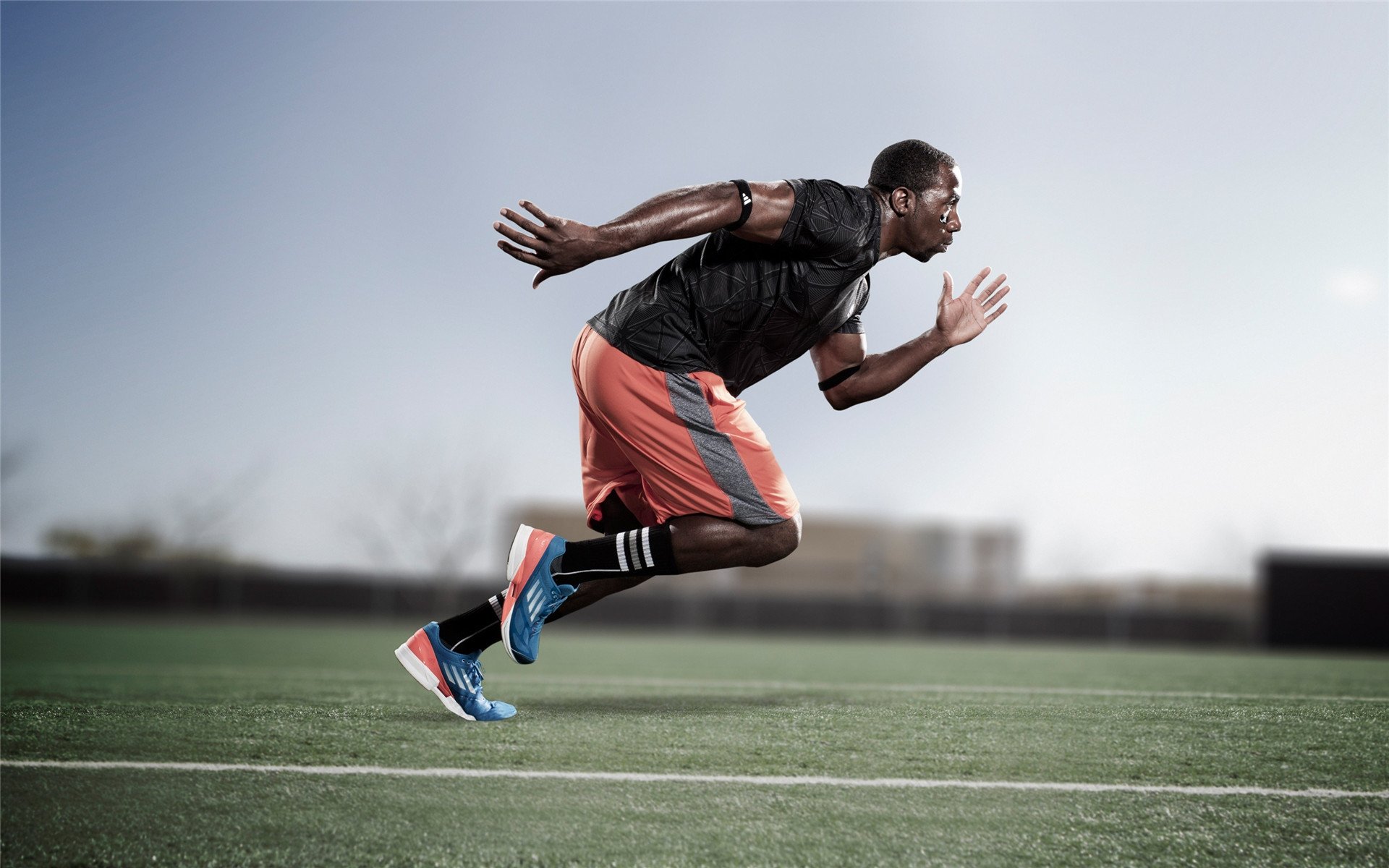 赛道新秩序，皮亚斯特里高光领跑，迈凯伦轻取索伯车队