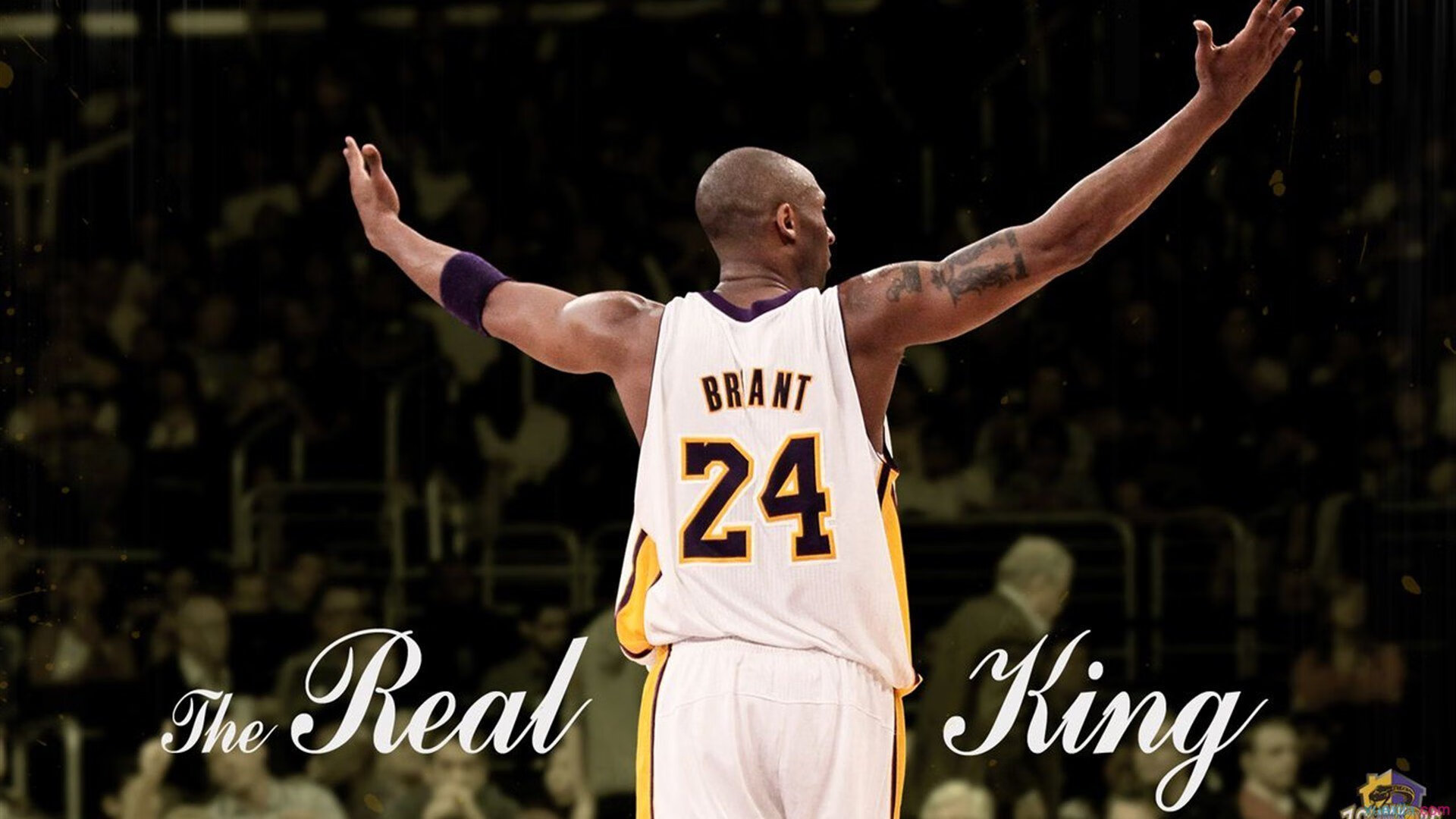 逆转之王，阿尔卡拉斯，从蒙特卡洛遗憾到ATP总决赛封神的唯一剧本